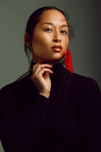 Model Cheroney P.